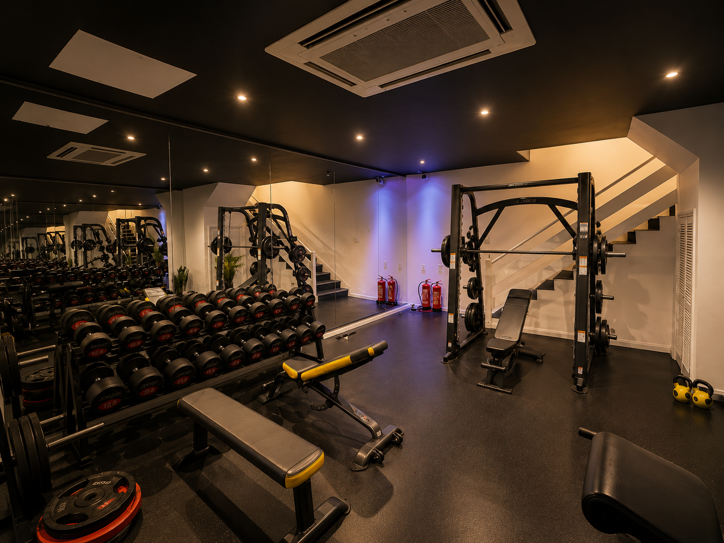 Protein World gym weights area