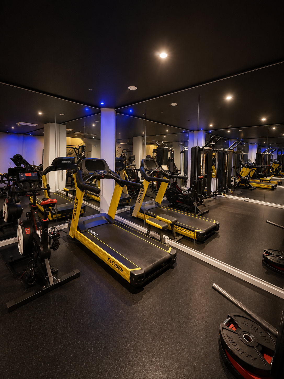 Protein World cardio area